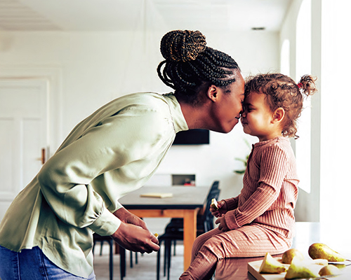 Aprilaire Radon Control Consumer Brochure 8606 500x400