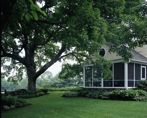 Home with Smart Landscaping
