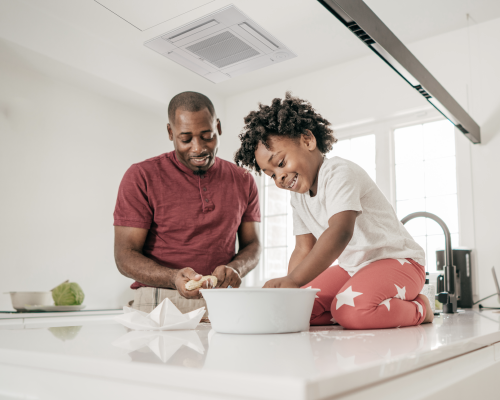 Ductless Air Conditioning1